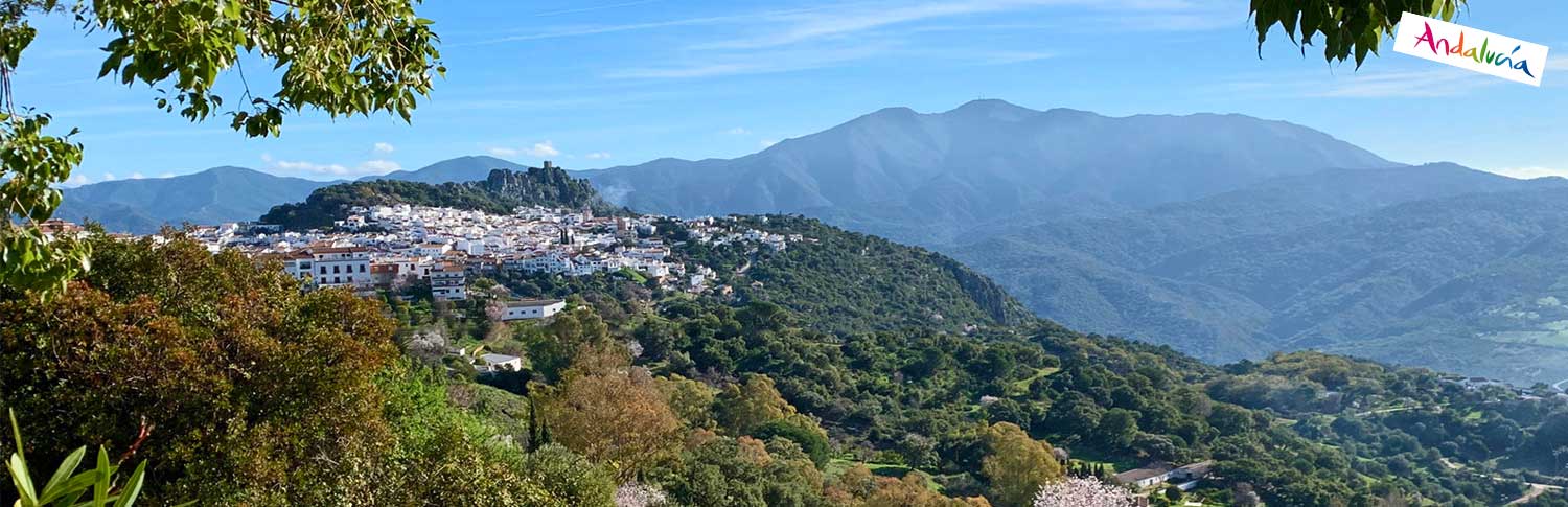 real estate agents gaucin