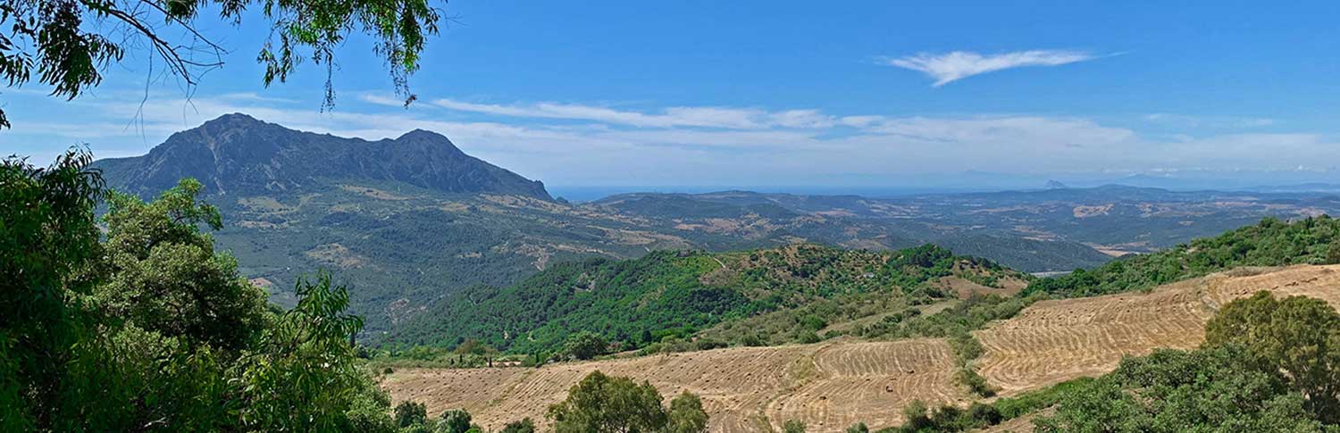 buy properties in gaucin real estate 