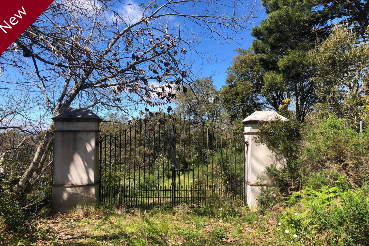 LARGE COUNTRYSIDE BUILDING PLOT NEAR GAUCÍN