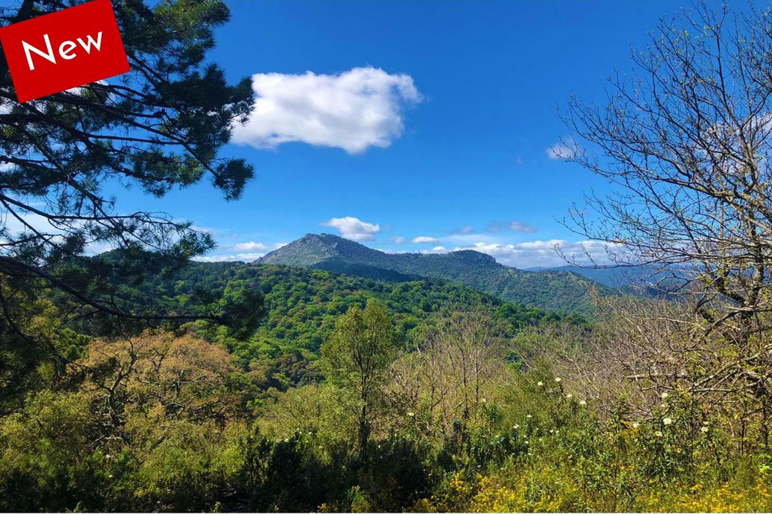 2 BEAUTIFUL PLOTS (20 ACRES) POTENTIAL TOURISM PROJECT