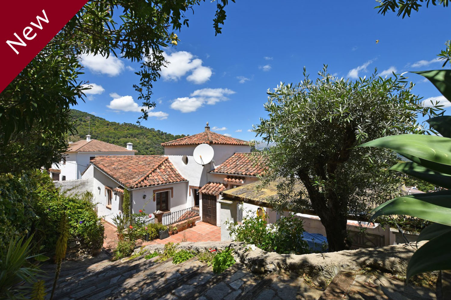 CHARMING & CHARACTERFUL HOUSE IN BENARRABÁ